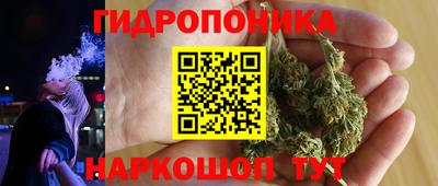 гашик Кулебаки
