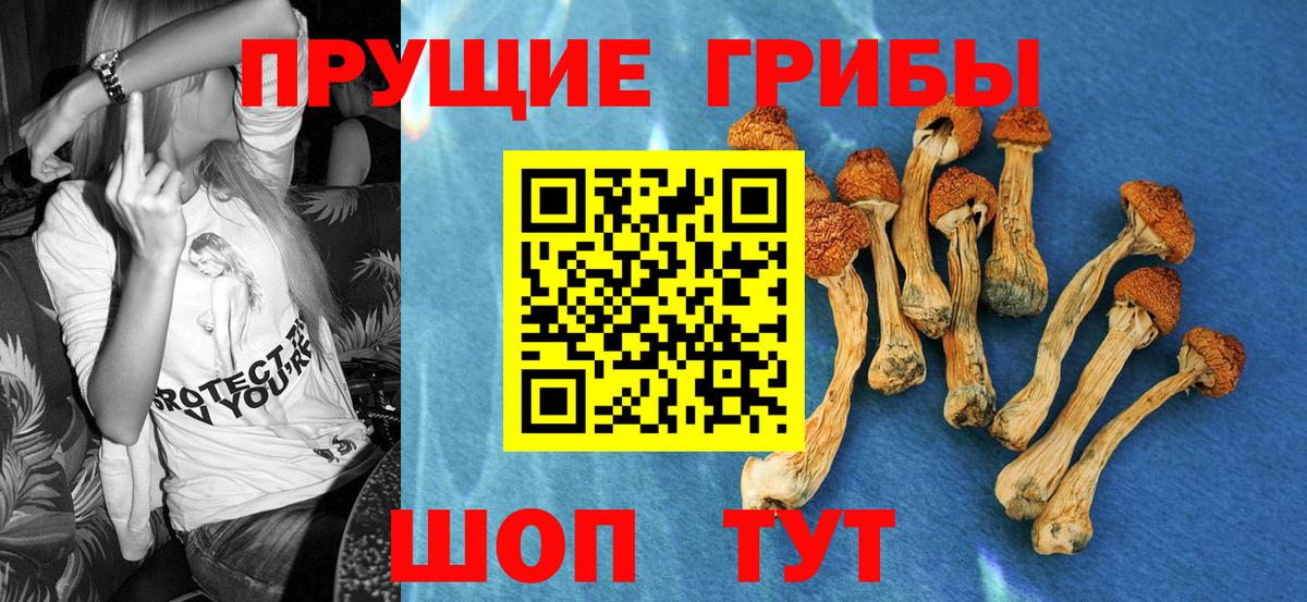 Коряжма  Псилоцибиновые грибы MAGIC MUSHROOMS  Вход с VPN 
